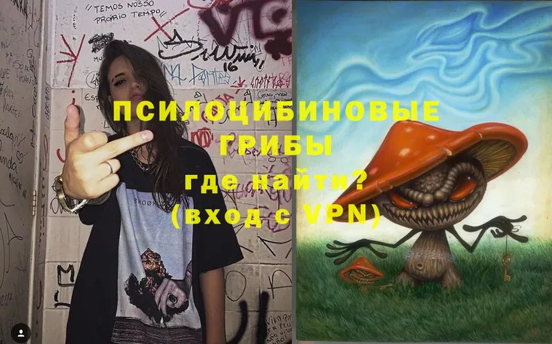 Галлюциногенные грибы Psilocybine cubensis  Любим 